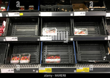 Haverhill, Großbritannien. 6. März 2018. Die Regale in Sainsbury's Supermarkt in Haverhill, UK sind noch auf der Suche leer eine Woche nach dem Tier aus dem Osten Hit in Großbritannien. Credit: Jason Mitchell/Alamy Leben Nachrichten. Stockfoto