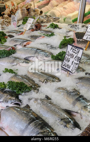 Seattle, Washington. Pike Place Market. Fisch anzeigen. Columbia River King Salmon zum Verkauf. Stockfoto