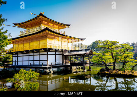 Der Goldene Pavillon Kinkaku-ji-Tempel in Kyoto, Japan Stockfoto