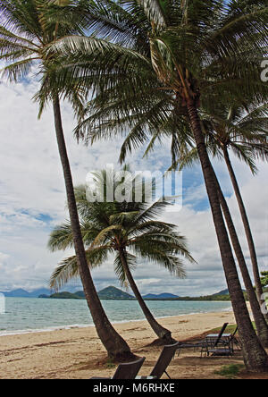 Palm Cove Beach View südlich durch die Kokospalmen über goldenen Sand und das ruhige Wasser als tropischer Wirbelsturm "vielleicht" bildet sich in der Coral Sea Stockfoto