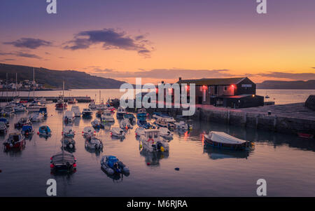 Lyme Regis Hafen kurz vor Sonnenaufgang. Stockfoto