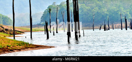 Dieses Foto ist thekkady, ein wahres Gesicht der Götter eigenen Land Kerala. Stockfoto