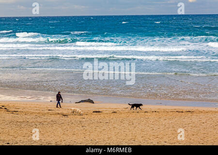 Eine Dame Dog Walker ihre Hunde Ausübung auf eine einsame Porthmeor Beach in St Ives, Cornwall, England, Großbritannien Stockfoto