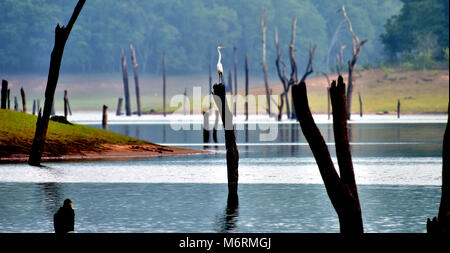 Dieses Foto ist thekkady, ein wahres Gesicht der Götter eigenen Land Kerala. Stockfoto