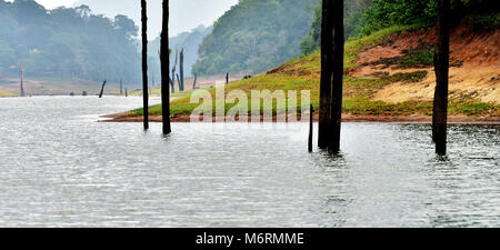 Dieses Foto ist thekkady, ein wahres Gesicht der Götter eigenen Land Kerala. Stockfoto