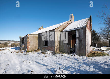 Verfallenes Cottage in schneebedeckten Feld in Lanarkshire Schottland. Stockfoto