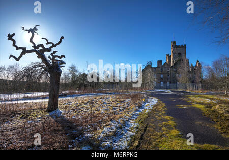 Ungewöhnlich geformte Baum am externen Standort in Hatwood Dorf in Lanarkshire mit alten verlassenen Krankenhaus im Hintergrund. Stockfoto