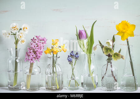 Frühlingsblumen in verschiedenen Glasvasen Stockfoto