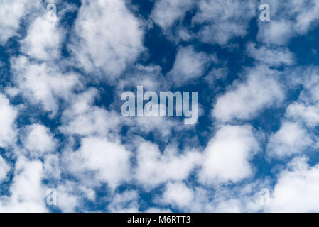 Horizontale Sicht auf blauen Himmel und weißen Wolken cumulus Hintergrund mit viel Platz kopieren Stockfoto