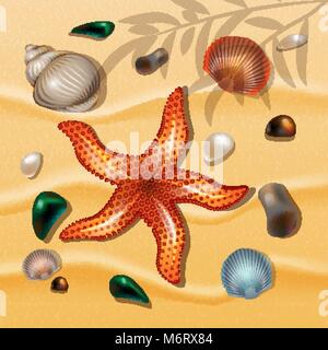 Muscheln und Seesterne auf Sand Hintergrund. Sommer Thema. Vector Illustration. Stock Vektor
