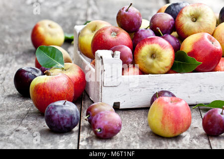 Obst der Saison. Äpfel und Pflaumen auf einem Holztisch Stockfoto