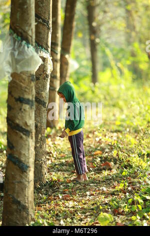 Glückliche Kindheit, Schlamm Spielen, Fußball, Spaß mit Natur, Kindheit genießen, Kinder Fußball, Erinnerungen, Spaß, Kinder Zyklus, Baum mit Junge, Spiel Stockfoto