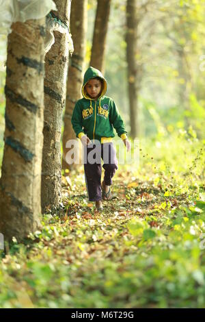 Glückliche Kindheit, Schlamm Spielen, Fußball, Spaß mit Natur, Kindheit genießen, Kinder Fußball, Erinnerungen, Spaß, Kinder Zyklus, Baum mit Junge, Spiel Stockfoto