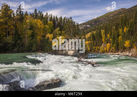 Nachhut fällt im Herbst, Rearguard Falls Provincial Park, British Columbia, Kanada Stockfoto