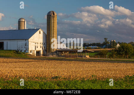 White Scheune und Silo, Amish Country, Lancaster County, Pennsylvania Stockfoto