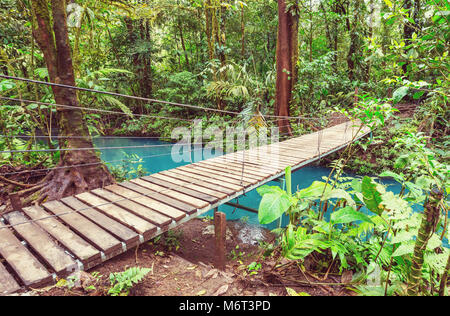 Übergabe Brücke im grünen Dschungel, Costa Rica, Mittelamerika Stockfoto