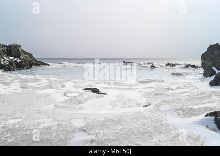 Eine Menge Eisschollen schwimmen im Meer Schmelzwasser in einer malerischen Bucht. Der Frühling kam. Landschaft der Ostküste von Russland Stockfoto