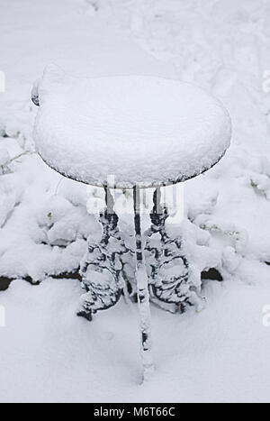 Vogelbad im Schnee Stockfoto