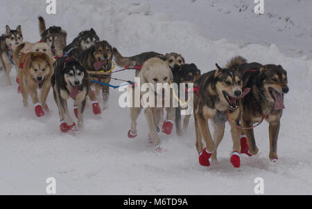 67 Musher startete die 46. jährliche Iditarod Trail Sled Dog Race mit einem 11-Meile zeremoniellen Start in Anchorage, Alaska, 3. März 2018. "Das letzte große Rennen der Welt" wirft 1.000 Meilen von Alaska zackige Gebirgszüge, gefrorene Flüsse, dichte Wälder, öde Tundra und Meilen von windigen Küste an der Musher und ihre Hunde Teams, als sie ihre Augen auf die Ziellinie in Nome, auf der Bering Meer Küste. (U.S. Air Force Foto von älteren Flieger Curt Strand) Stockfoto