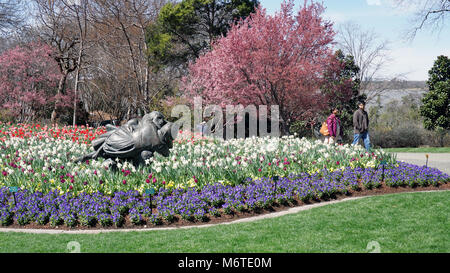 Dallas, Texas - März 6, 2018 Dallas Arboretum und Botanischer Garten, Leute genießen einen tollen Frühlingstag. Stockfoto