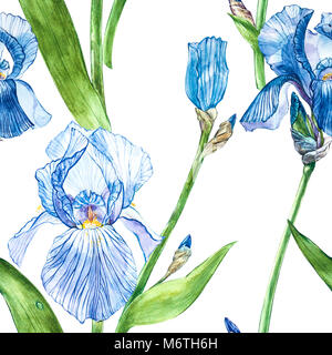 Blüten der Iris. Aquarell Hand gezeichnet botanischen Abbildung von Blumen. Nahtlose Muster Stockfoto