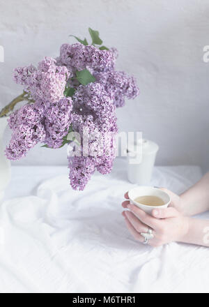 Innen- Szene, Tageslicht, weibliche Hände halten eine Tasse Kaffee, auf einem Tisch mit weißem Stoff bespannt, mit Teekanne und frisch geschnitten lila Blumen Stockfoto