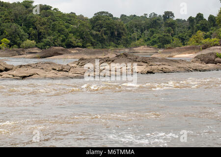 Neue O-Fluss in der Nähe von Raleighvallen finden, Suriname, Südamerika Stockfoto