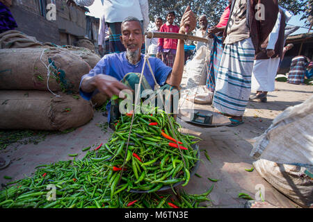 Eine grüne Chili Anbieter ist die Messung viel frische Chilis. Stockfoto