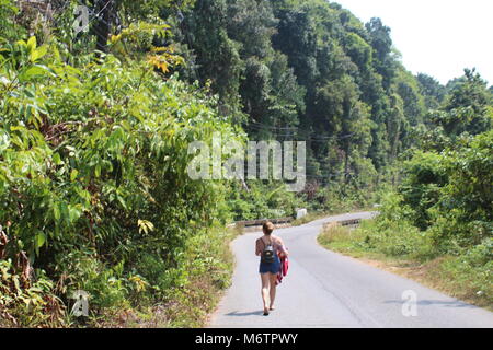 Wanderungen durch den Dschungel von Koh Chang Stockfoto