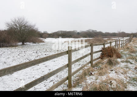 Schneelandschaft Szene auf Turbary gemeinsame Naturschutzgebiet, Dorset, Großbritannien als "Tier aus dem Osten' hits Südengland am 1. März 2018 Stockfoto