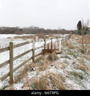 Schneelandschaft Szene auf Turbary gemeinsame Nature Reserve, Bournemouth, Dorset, Großbritannien als "Tier aus dem Osten' hits Südengland am 1. März 2018 Stockfoto