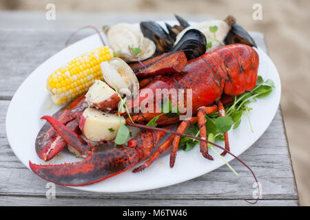 Eine Platte von Lebensmitteln in einem traditionellen New England Hummer und Clam backen am Strand in Chatham, Massachusetts Auf Cape Cod gekocht. Stockfoto