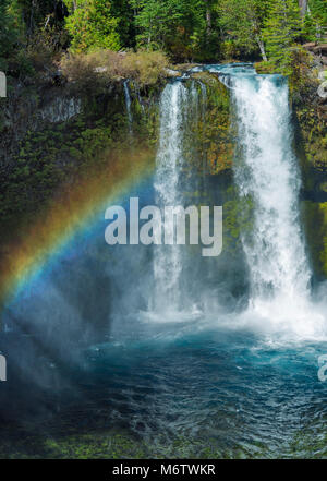 Koosah fällt, Mc Kenzie River National Wild und Scenic River, Willamette National Forest, Oregon Stockfoto