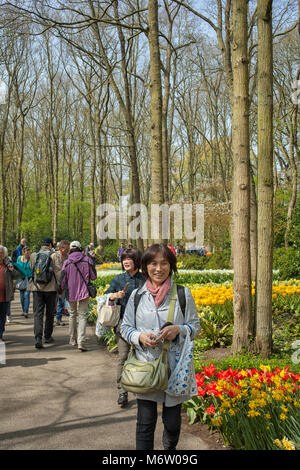 Touristen genießen die bunten Blumen im Keukenhof in den Niederlanden Stockfoto