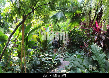 Jim Thompson Haus und Gärten in Bangkok, Thailand. Die traditionelle thailändische Architektur. Stockfoto