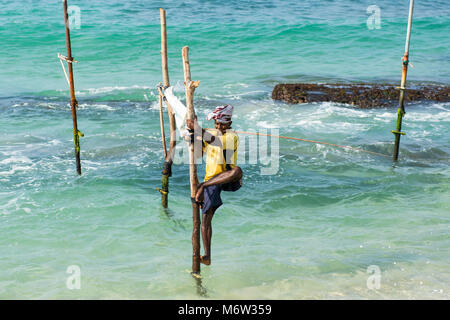 Stelzenfischer in Koggala bei Galle, Sri Lanka Stockfoto