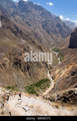 Touristen in den Peruanischen Hochanden auf dem Trekking auf den Colca Canyon, Peru, Südamerika Stockfoto