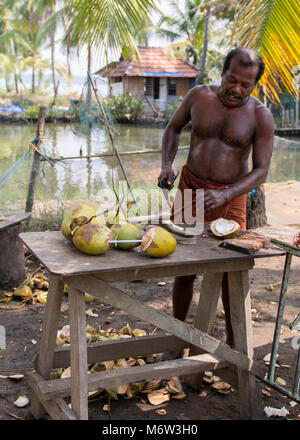 Indischer Mann, der Kokosnüsse schneidet und zum Trinken vorbereitet, im Kumbalangi Village, Cochin, Kochi, Indien Stockfoto