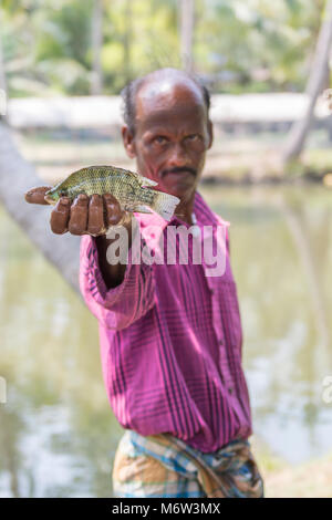 Der indische Mann zeigt seinen Fischfang im Kumbalangi Village, Cochin, Kochi, Indien Stockfoto