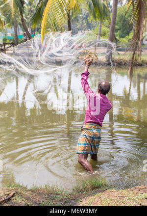 Indischer Mann, der das Fangnetz ins Wasser wirft im Dorf Kumbalangi, Cochin, Kochi, Indien Stockfoto