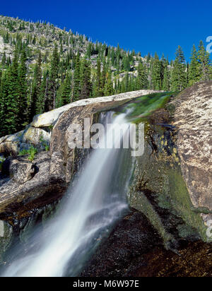 Wasserfall am oberen Bear Creek in der Selway-Bitterroot Wilderness, idaho Stockfoto