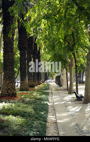 Liberty Avenue, Lissabon, Portugal Stockfoto