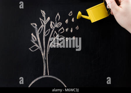 Gießkanne und Baum auf einer Tafel Konzept, Investitionen, sparen und Geld verdienen. Stockfoto