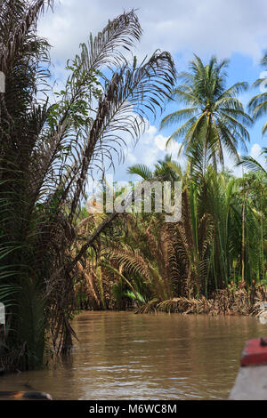 Bootfahren auf einen schmutzigen Fluss Mekong Delta, Vietnam Stockfoto