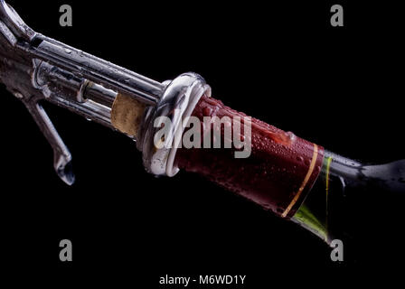 Wein Flasche mit Stopfen und Korkenzieher Stockfoto