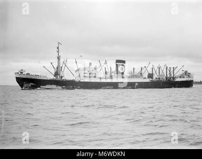 MV Brisbane Stern, Britische Kühlladung Liner Stockfoto