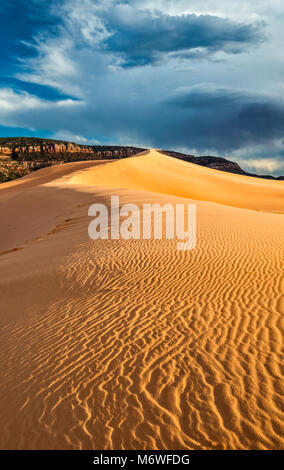 Wind Wellen im Dunes, Sonnenuntergang, Coral Pink Sand Dunes State Park, Utah, USA Stockfoto