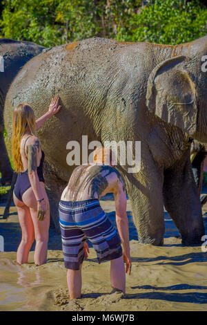 CHIANG RAI, THAILAND - 01. Februar 2018: Im Freien von unbekannten Menschen waschen eines riesigen Elefanten mit Schlamm im Dschungel, Elephant Sanctuary Spa, Enjo Stockfoto