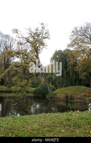 Blick in den Park mit einem Baum die Hälfte hängt über dem Wasser Stockfoto