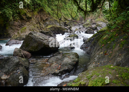 Rapids auf dem Rio Agujitas (Fluss), im Regenwald, am Rande des Corcovado Nationalparks in Costa Rica. Stockfoto